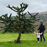 Photo taken by Kim G