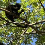 Photo taken by Bert B