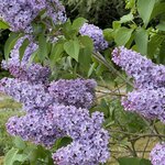 Photo taken by Susan K