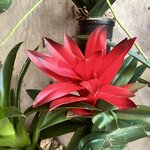 Photo taken by Randall D