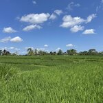 Photo taken by Matteo R