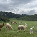 Photo taken by Kara H