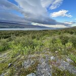 Photo taken by Tim Z