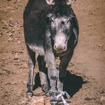 Photo taken by Kassie R