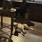 Photo taken by Cynthia C