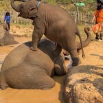 Photo taken by Aya I