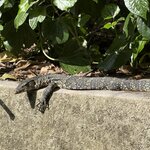 Photo taken by Paulette D