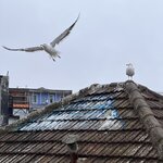 Photo taken by Ellen F