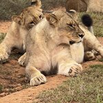 Photo taken by Martin D