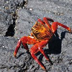 Photo taken by Natascia V