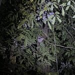 Photo taken by Nicole S