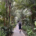 Photo taken by Matt P