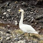 Photo taken by Tom B