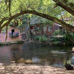 Photo taken by Anita L