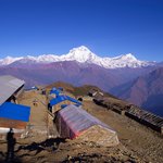 Photo taken by Peter M