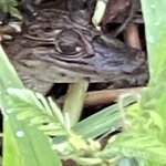 Photo taken by Tracie D