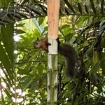 Photo taken by Donna G