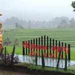 Photo taken by Matteo R