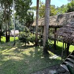 Photo taken by Sarah C