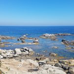 The coastal walk from Calella de Palafrugell to Llafranc | Photo taken by Carol P