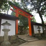 Tori gate | Photo taken by peter e