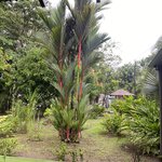 Photo taken by Kim L