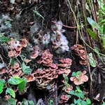 Photo taken by Mandy F