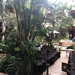 Photo taken by Juliette S