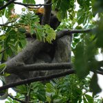 Photo taken by Brett F