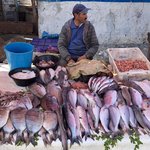 Fish market  | Photo taken by Alta P