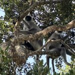 Photo taken by Kari I