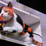 Photo taken by Sandra C