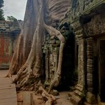 Photo taken by Bianca C