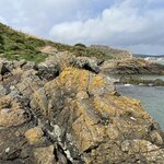 Photo taken by Nicki S