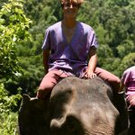 Photo taken by Julien C