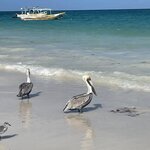 Photo taken by Carter G