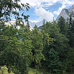 Photo taken by Cindy w