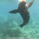 Photo taken by Stephanie A