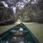 Photo taken by Emily F