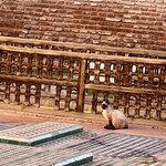 Photo taken by Kris C