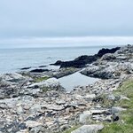 Photo taken by Donna T