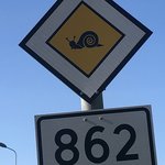 Funny Road signs of Norway | Photo taken by florence P