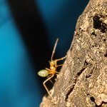 Photo taken by Maggie W