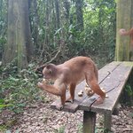 Photo taken by Bree J