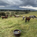 Photo taken by enrique jose g