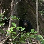 Photo taken by Micheline F