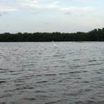 Photo taken by Juliette S