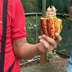 Photo taken by Harshida P