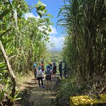 Photo taken by Ceinwen P