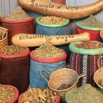 Photo taken by Cynthia T